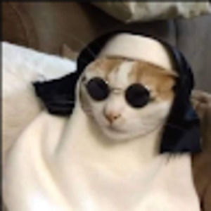 Meet your Posher, Alana